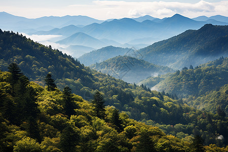 山林风景山脉与森林的风景背景