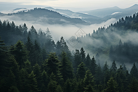 雾霾背景山林中的雾霾背景