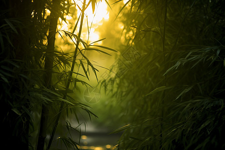 竹林流水竹林中的河流背景