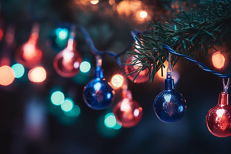 圣诞树上挂满了圣诞灯饰图片