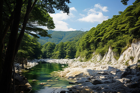 美丽青山绿水背景图片