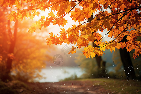 美丽的秋日图片