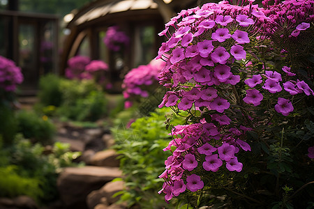 悠闲花园里的粉色花朵图片