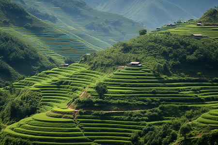 绿色山峦上的小屋图片