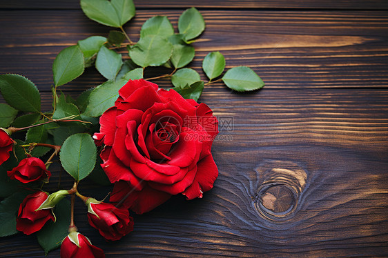 桌子上的红玫瑰图片