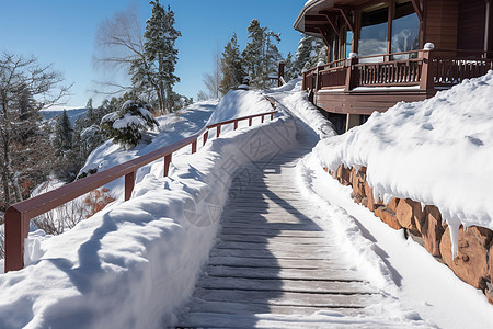 雪地的建筑图片