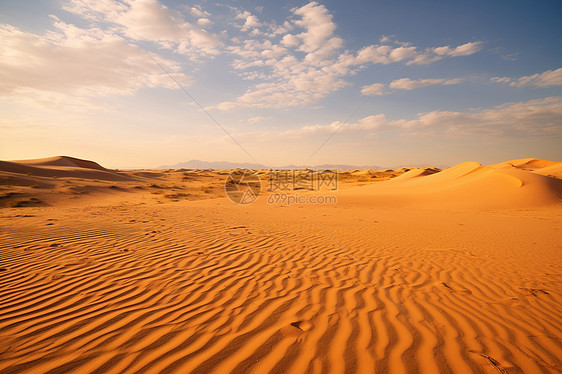 沙漠上的沙丘图片
