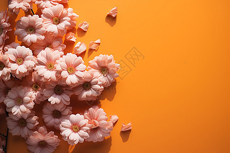 粉色花束背景图片