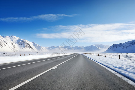 雪中嫩芽冰雪皑皑中的公路背景