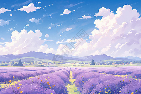 紫色花田图片