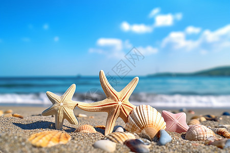 海边沙地上的海星图片