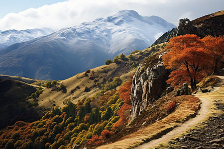 美丽的秋季山谷风景图片