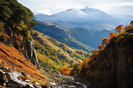 秋季山谷的美丽景观图片