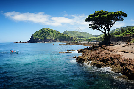 热带岛屿的美丽景观图片