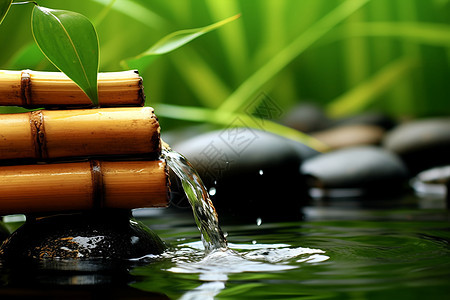 清新自然的水池竹林景观背景图片