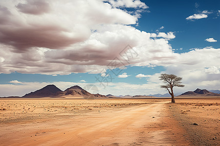 孤树独立的荒漠山路图片
