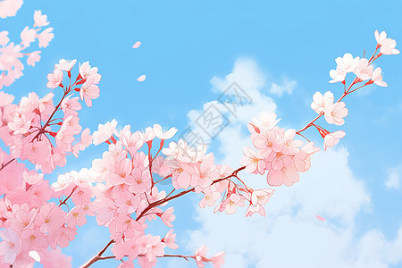 粉色樱花之美图片