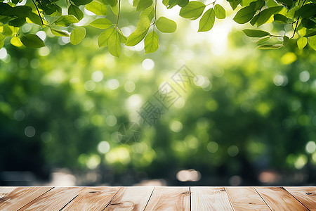 木桌后的绿色树林图片