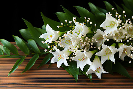 白色的植物花束背景图片