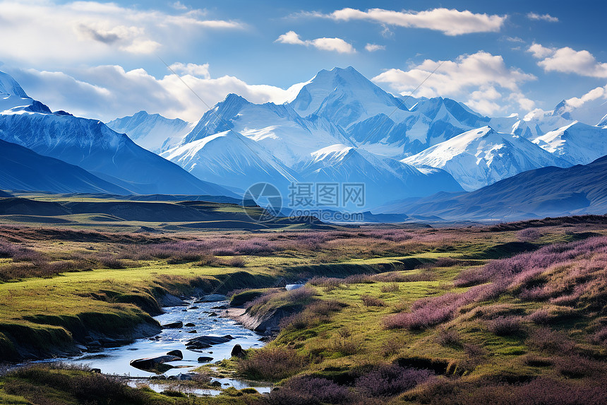 山雪泉流图片