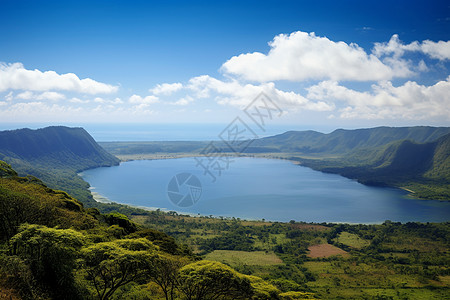 阴暗树林树林旁的河流湖泊背景