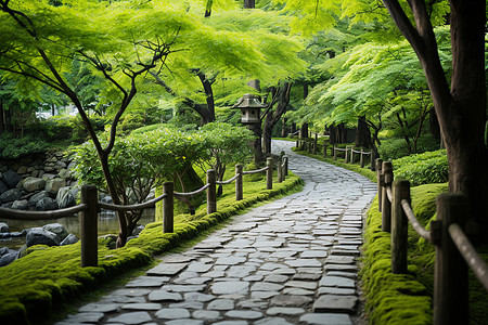 青石小路背景图片