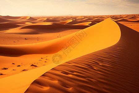 沙丘中的奇幻冒险图片