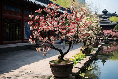 桃花潭畔建筑倒影图片