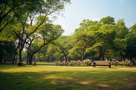 城市公园绿化背景图片