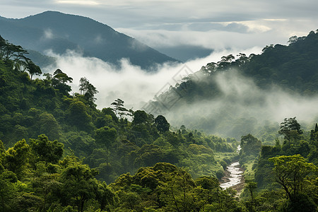 绿雾山河图片