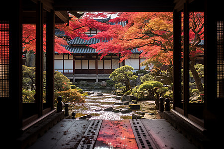 京都名胜庭园图片
