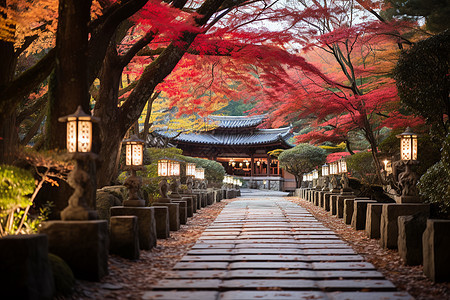 秋日的京都寺庙图片