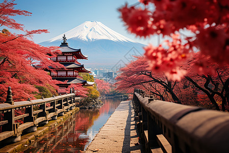 东京樱花富士山下的美丽景色背景