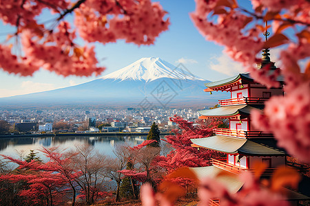 樱花美景自然火山美景高清图片