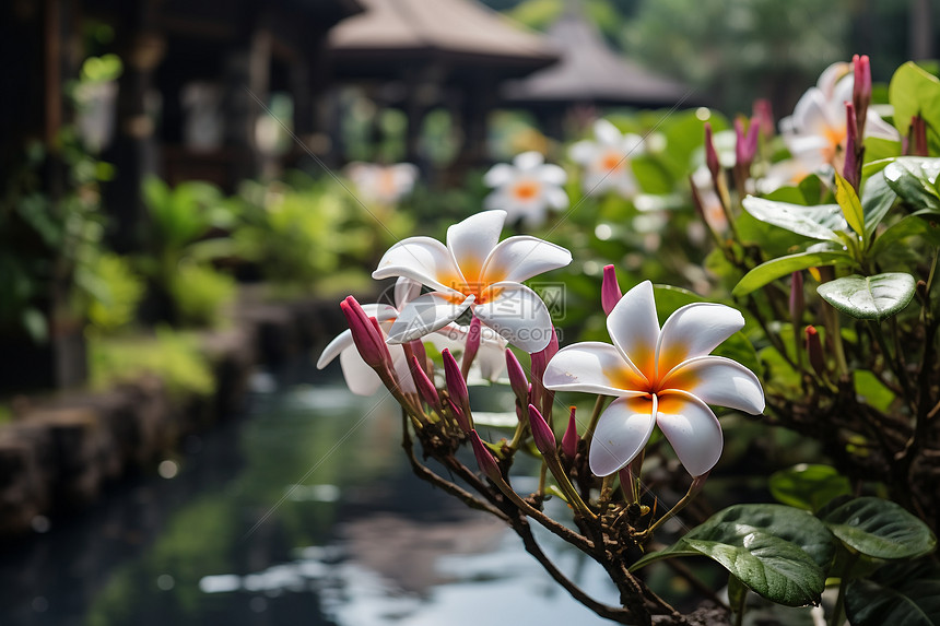 水边的鲜花图片