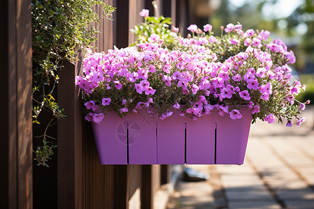 阳台紫色花盆图片