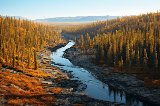 森林河流风景图片