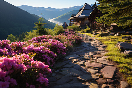 山谷鲜花盛开山谷旁边有鲜花背景