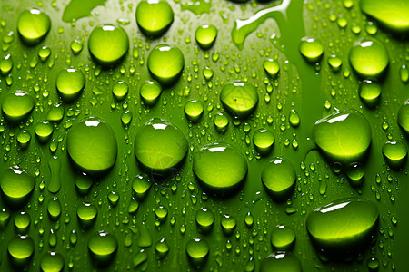 绿色表面上的液体水珠背景图片