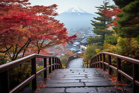 满山枫叶的秋季公园景观背景