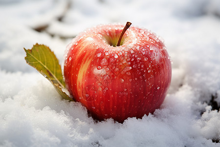 冬日红苹果图片
