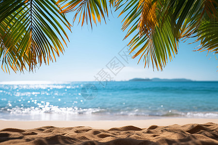 阳光下的热带海滩图片