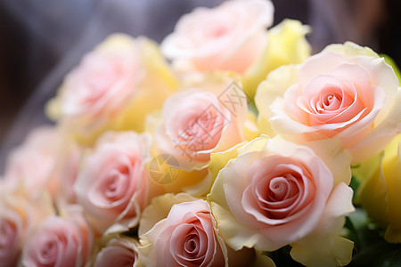 桌面上浪漫的玫瑰花束图片