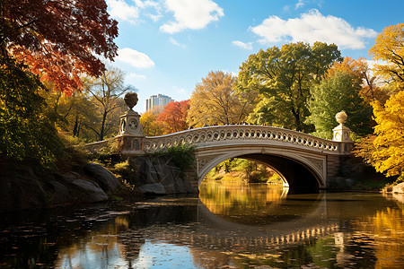 秋日公园的桥上背景图片