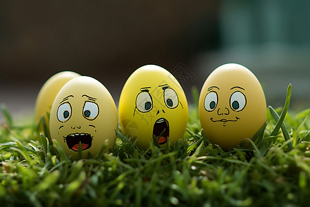 彩蛋表情草地上的表情蛋背景