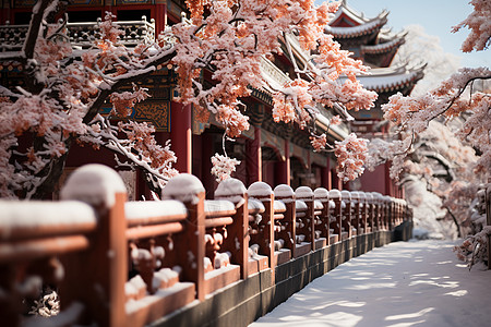 下雪屋檐雪中的中国建筑背景