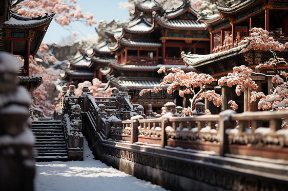 中国风雪中的建筑图片