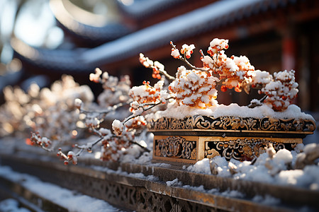 下雪屋檐冬日雪中建筑背景