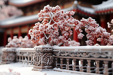 冬日梦幻雪中红楼背景图片