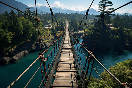 丛林探险中的吊桥构图片